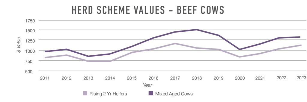 Graph of beef cattle values over time from 2011 to 2023, showing a small but noticeable increase in the 2023 year